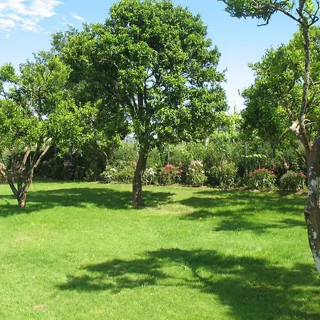 Casa Dos Castanheiros Dom wakacyjny