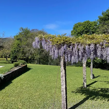 Casa Dos Castanheiros Dom wakacyjny *
